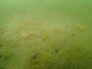 9月、粘土法、片名