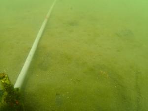 9月、コロイダルシリカ法、片名