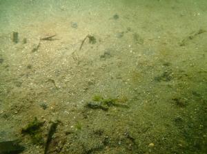 9月、コロイダルシリカ法、佐久島、ー２