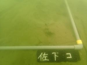 9月、コロイダルシリカ法、佐久島、ー３