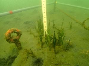 9月、麻袋法、片名B