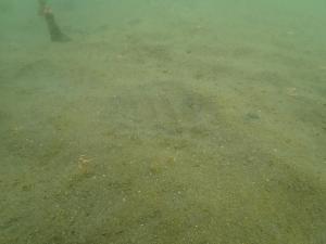 5月、粘土法、片名