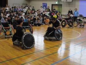 赤いバラの写真です。