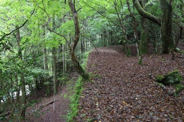 擁壁によりヘアピンカーブの様子がわかる写真