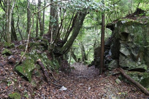 崖を切った切通しの様子