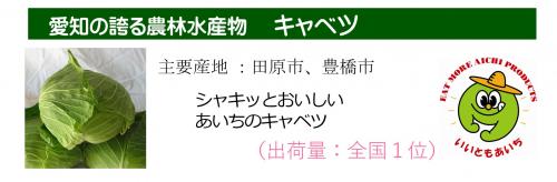 知事名刺PRイラスト（キャベツ）