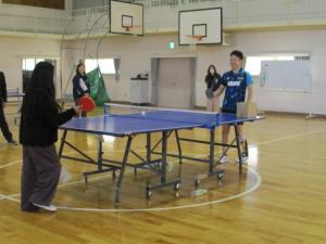 赤いバラの写真です。