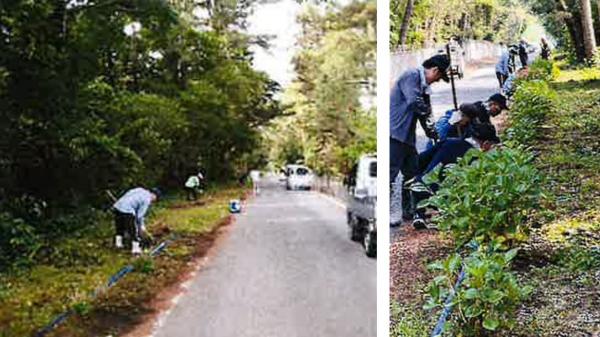 清掃活動の様子