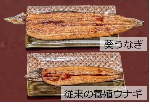 大きさイメージ