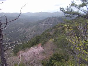 山頂からの写真