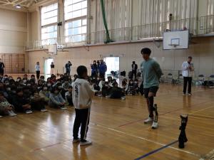 赤いバラの写真です。