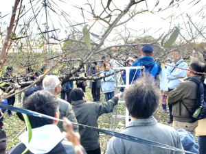 桃のほ場でせん定をおこなう部会長の周りを囲い生産者が集まっている様子