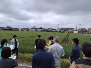 ほ場での研修の様子