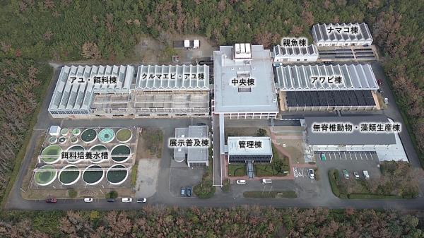 栽培漁業センターの航空写真