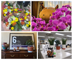 取組写真（名古屋競馬株式会社）