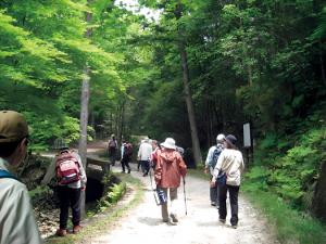 ウォーキングの画像