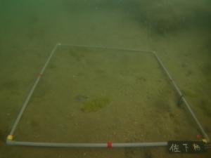 3月・粘土法・佐久島DL-3