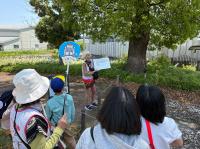 史跡体感ツアー