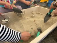 弥生のお宝さがし