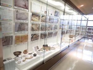 展示の様子です