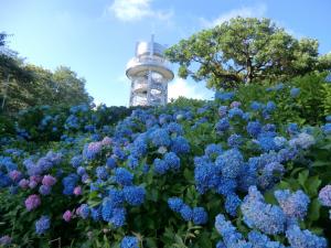 小牧市画像①１