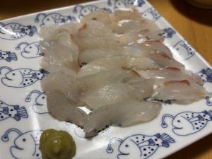 マゴチの刺身