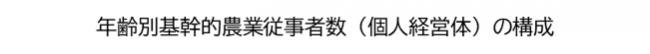 年齢別基幹的農業従事者数(個人経営体)の構成の表題