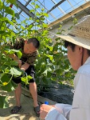 Instagramにアップした画像24-1