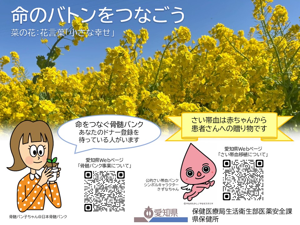 啓発用ポケットティッシュ（愛知県作成）
