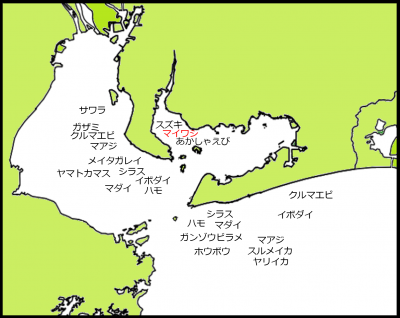 2026年9月中旬の漁模様