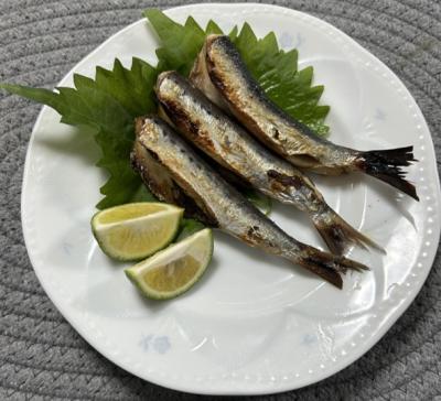 マイワシの塩焼き