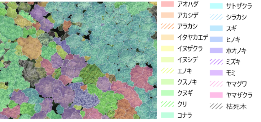 樹種マップ