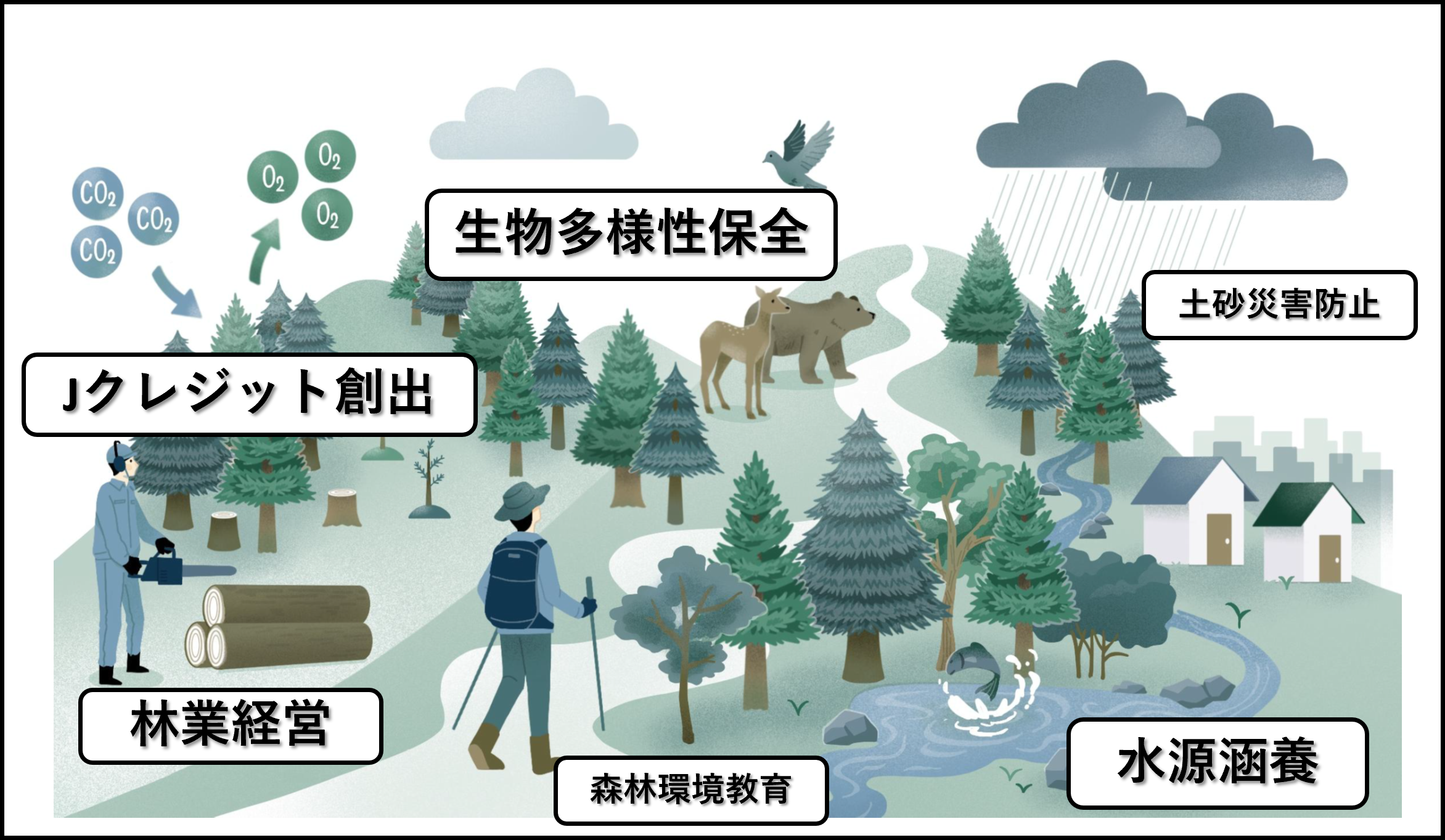 多面的機能