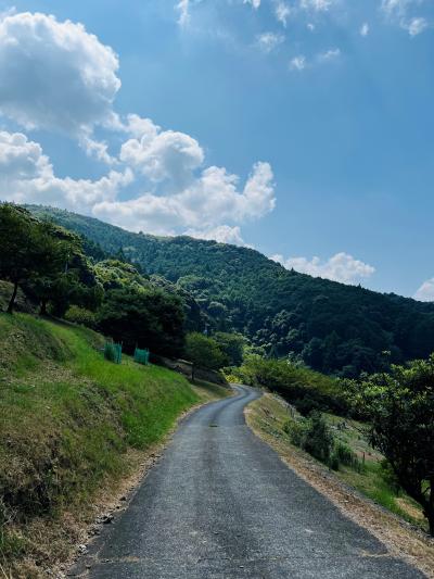 新城市の市川地区