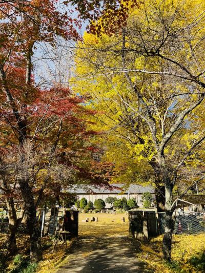 旧門谷小学校