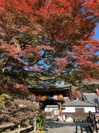 普門寺