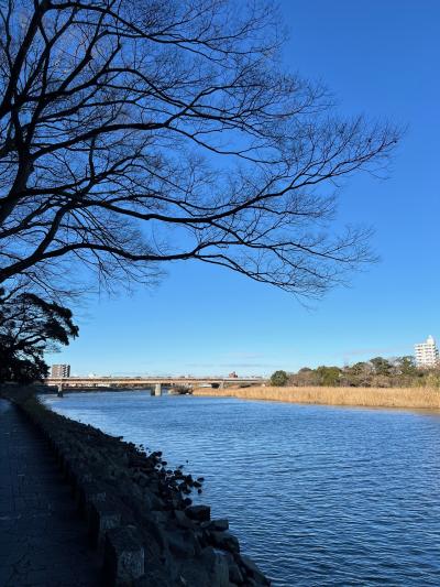 冬の朝の豊川