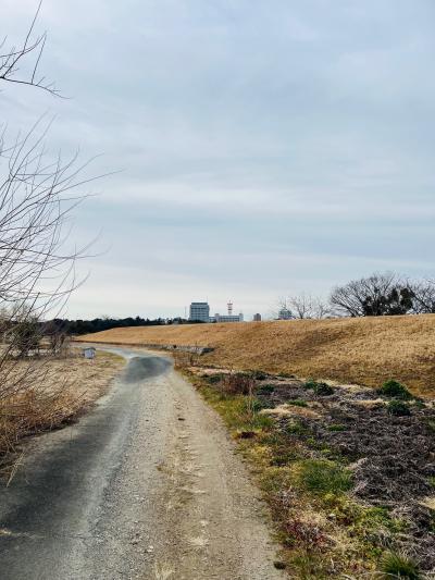 牛川地区の霞堤