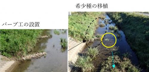 希少種保全の取り組み