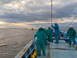 船上から操業の様子を見学