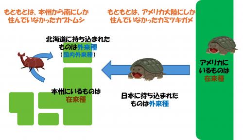 イメージ図
