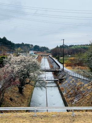 牟呂松原幹線水路